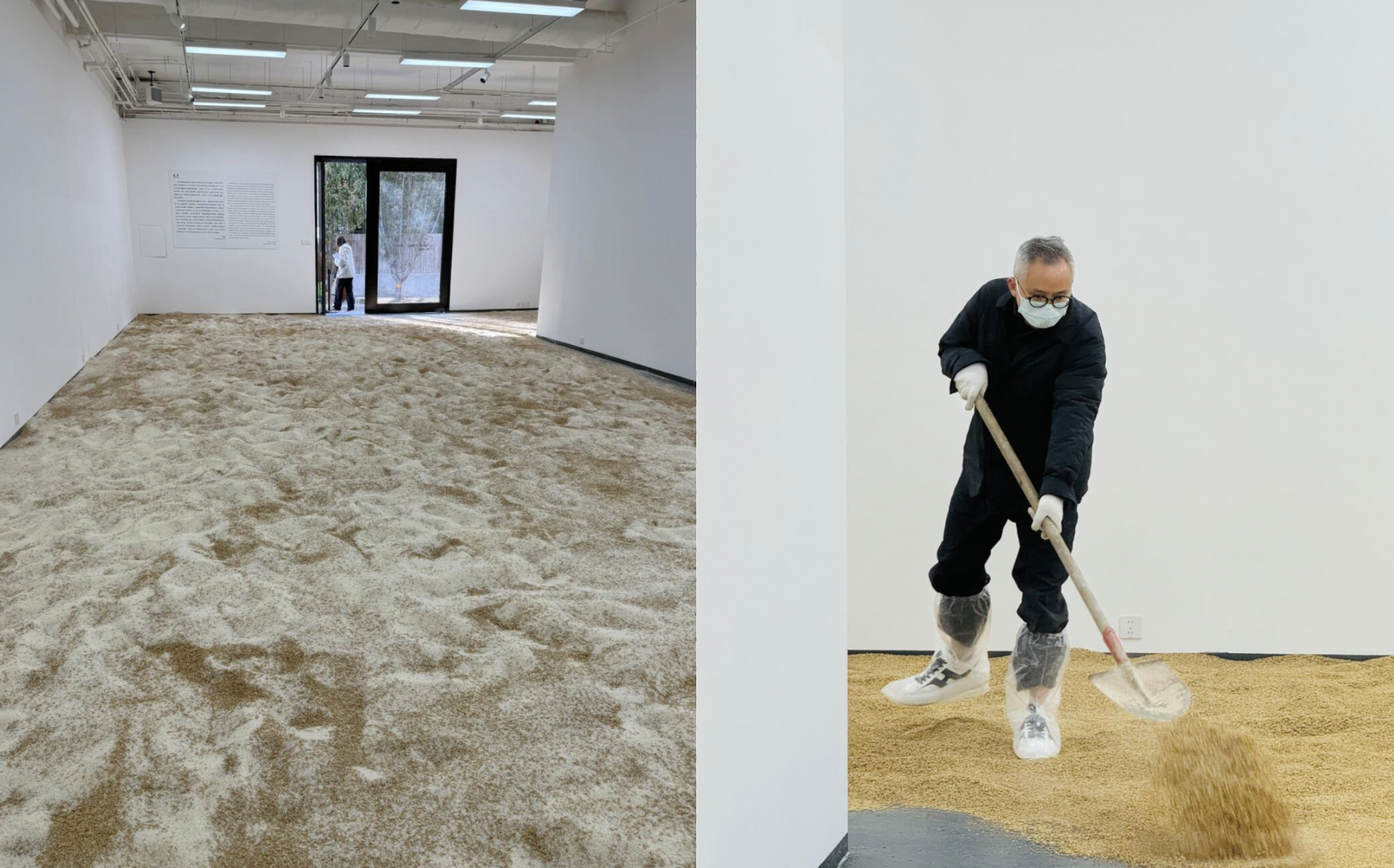 RADII highlights artist Yang Yaxin's exhibition Gold Grain Rush.