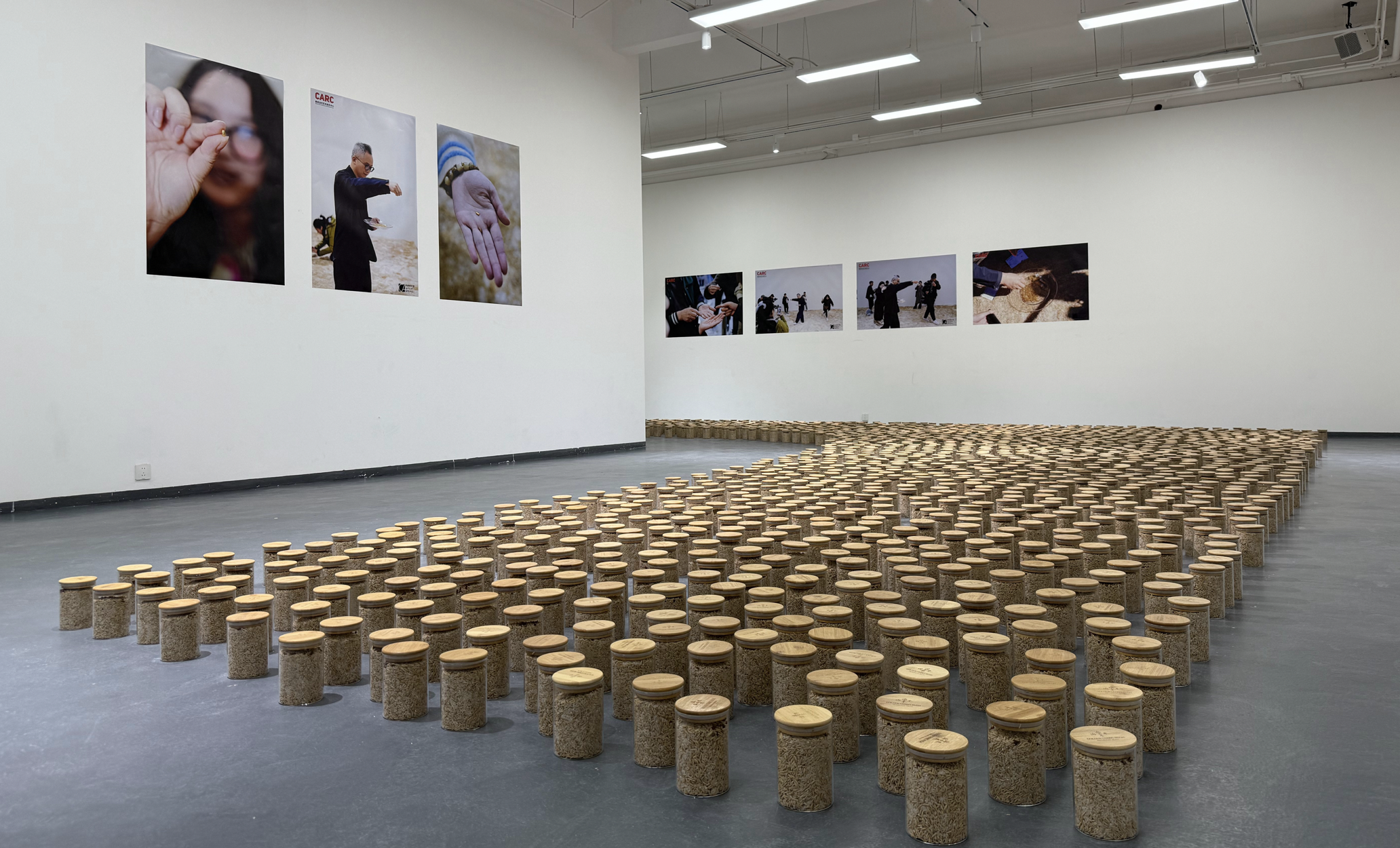 RADII highlights artist Yang Yaxin's exhibition Gold Grain Rush.