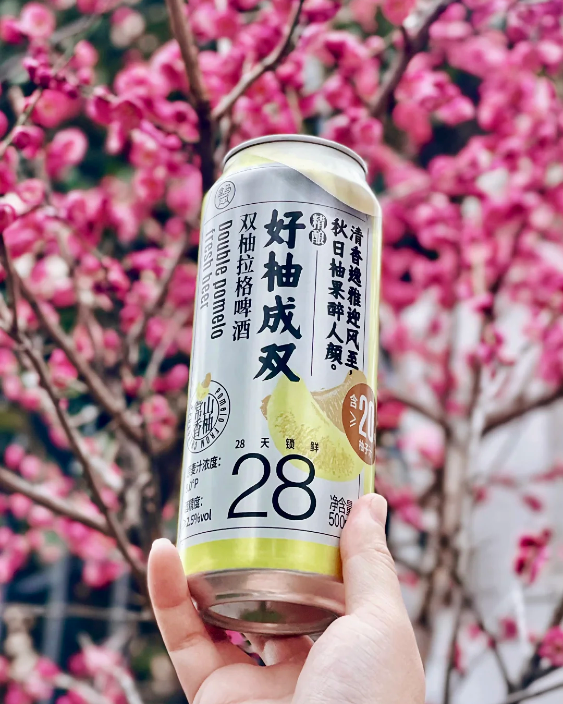 RADII showcases Little Sweet Water (小甜水) beer revolution in China.