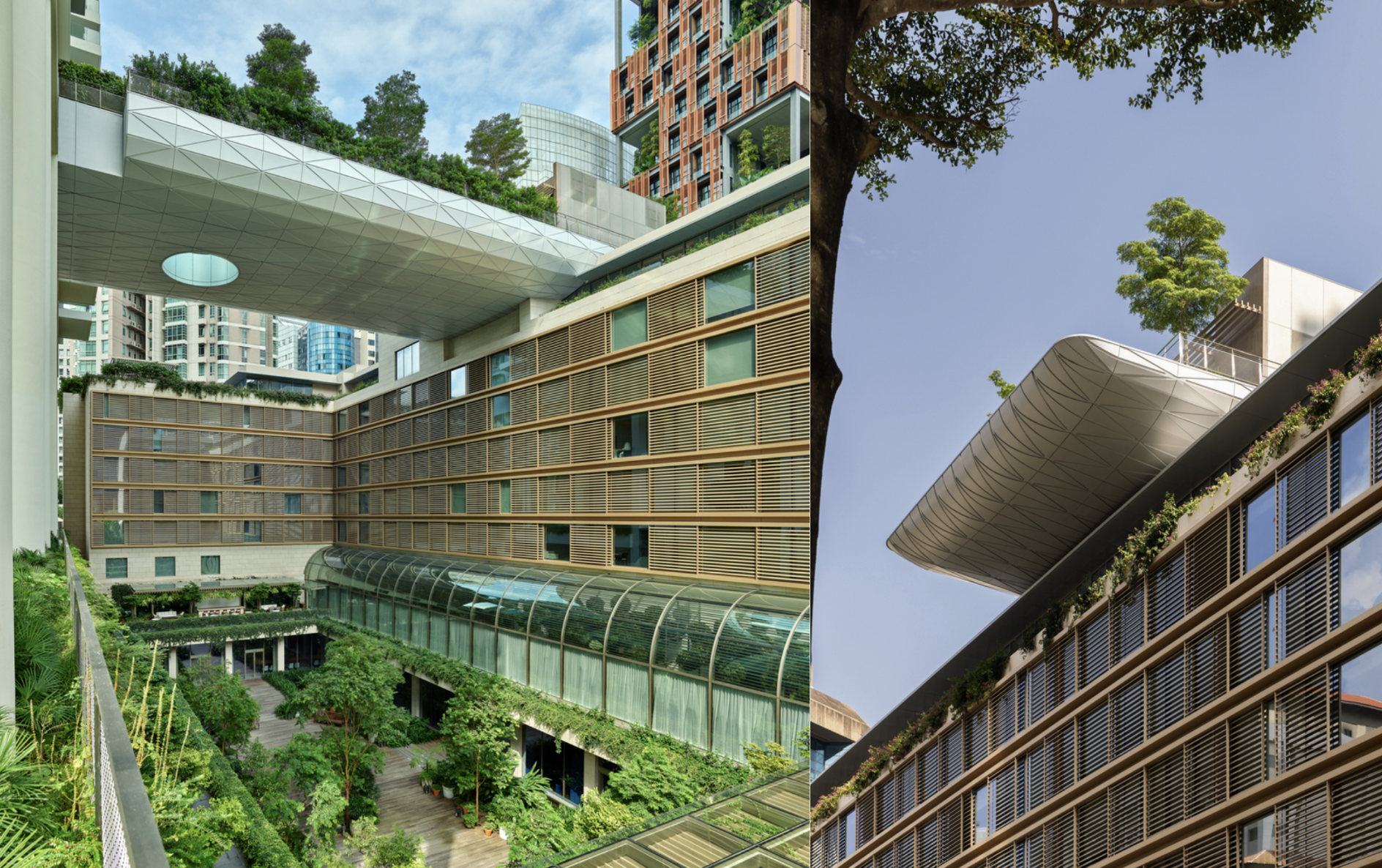 RADII lists 8 amazing building projects in Asia from World Architecture Festival 2025.