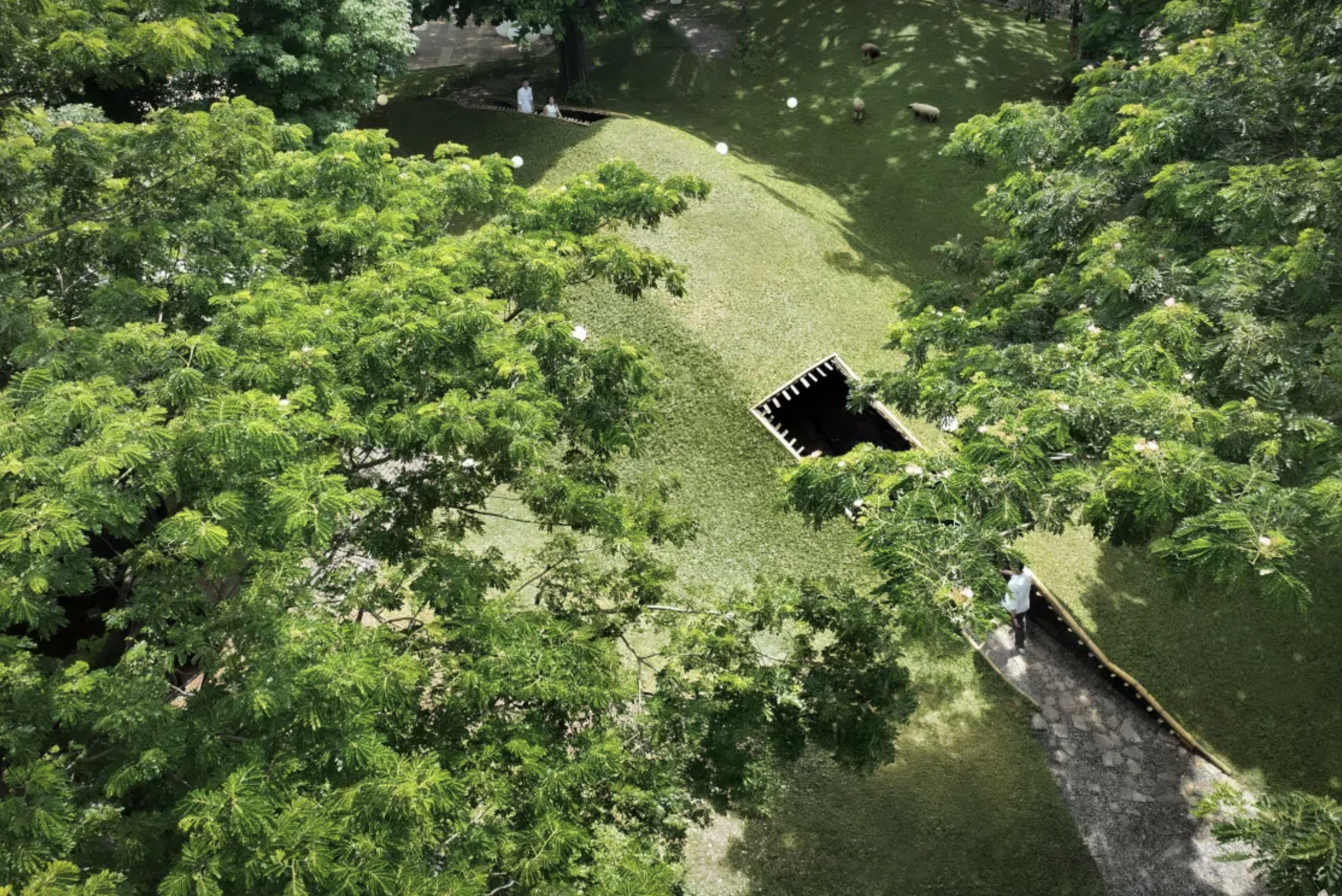 RADII lists 8 amazing building projects in Asia from World Architecture Festival 2025.
