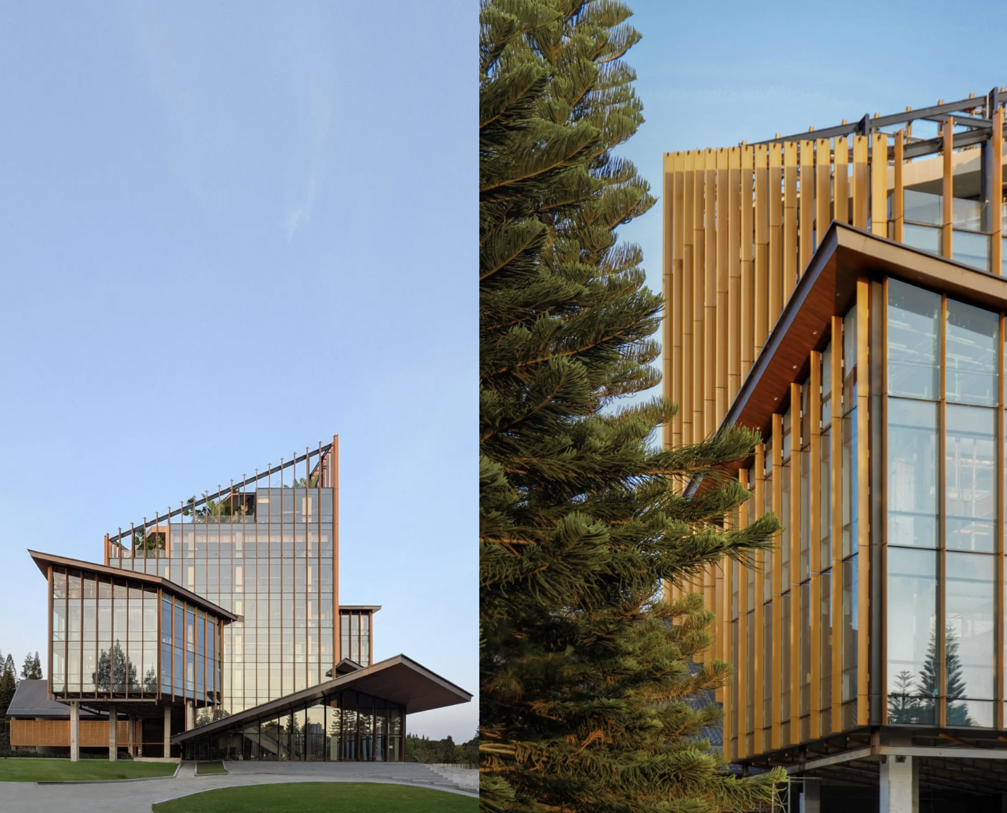 RADII lists 8 amazing building projects in Asia from World Architecture Festival 2025.
