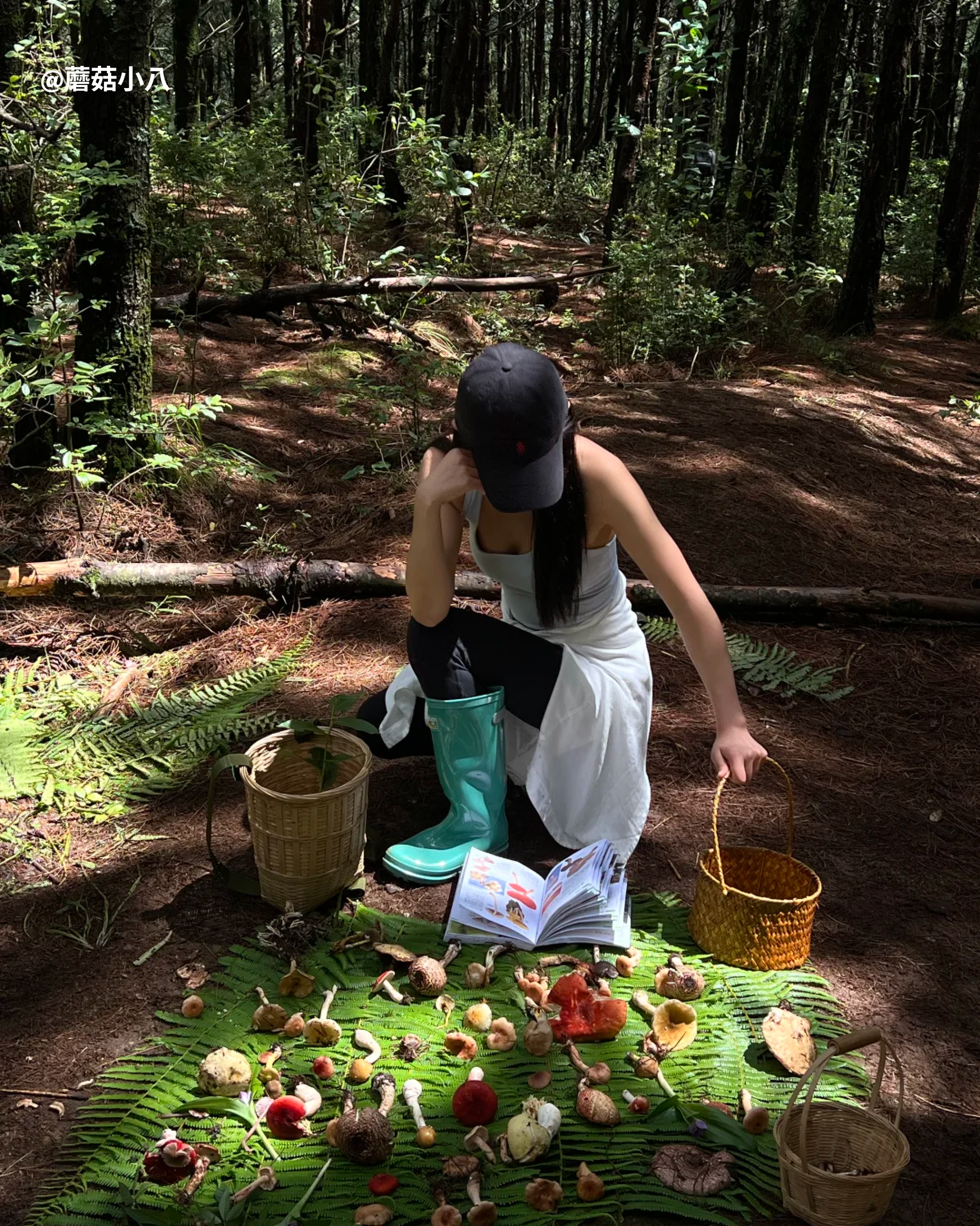 RADII talks about how mushroom foraging trend in Yunnan, China is damaging its wild forests.