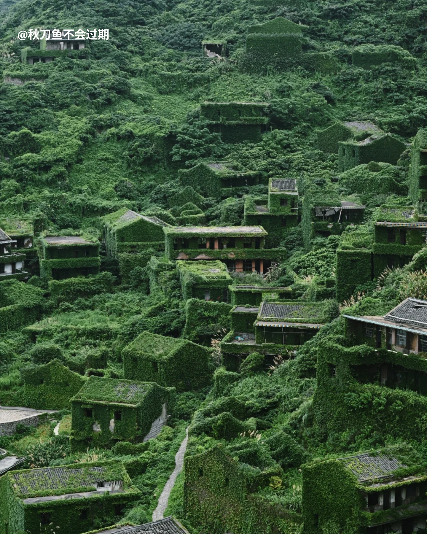 RADII reports on POP MART's art exhibition with Hirono at Hou Tou Wan abandoned fishing village.