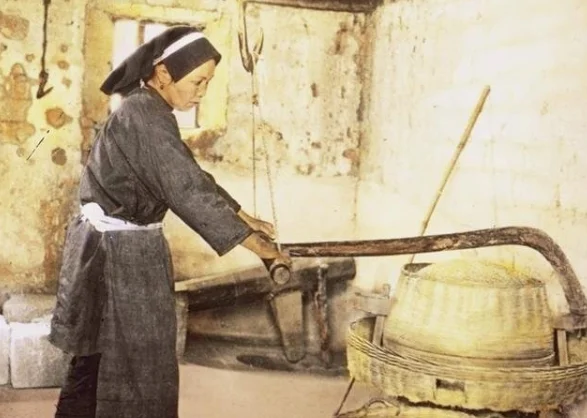 RADII's Jia Yun Yan offers a Viewpoints Op-Ed on Hakka food focusing on Thunder Rice Tea.