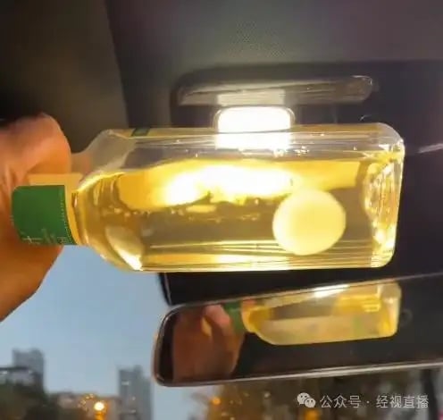 RADII talks about a strange new trend in China where its youth are cultivating and keeping tea leaf fungi mold as pets.