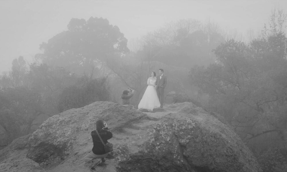 RADII highlights a list of Chinese films for a very different Christmas Night.