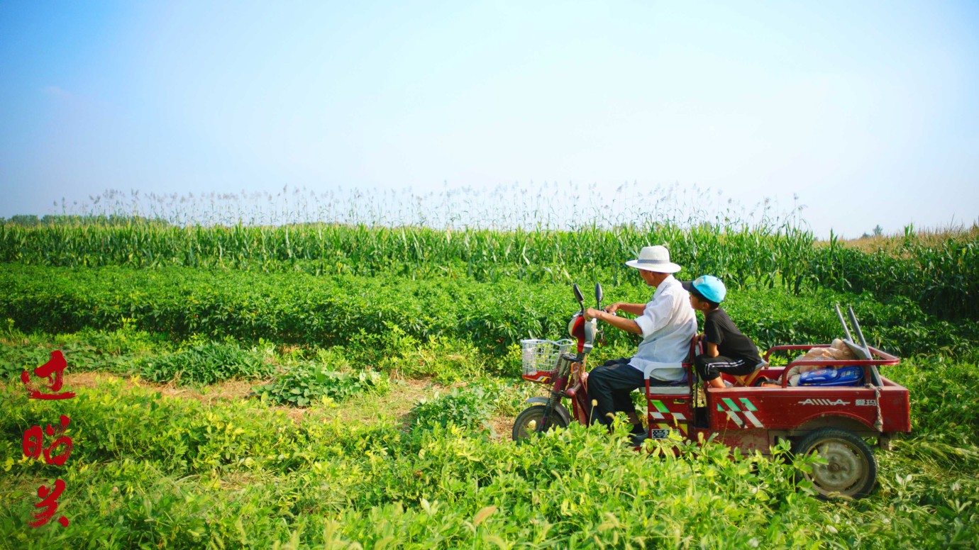 RADII highlights a list of Chinese films for a very different Christmas Night.