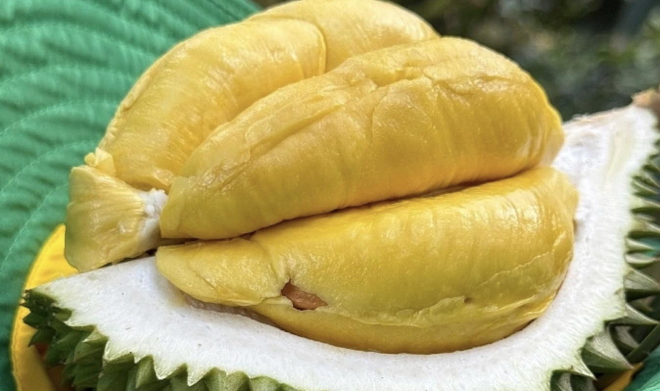 What’s Up With China’s Obsession With Southeast Asian Durians?