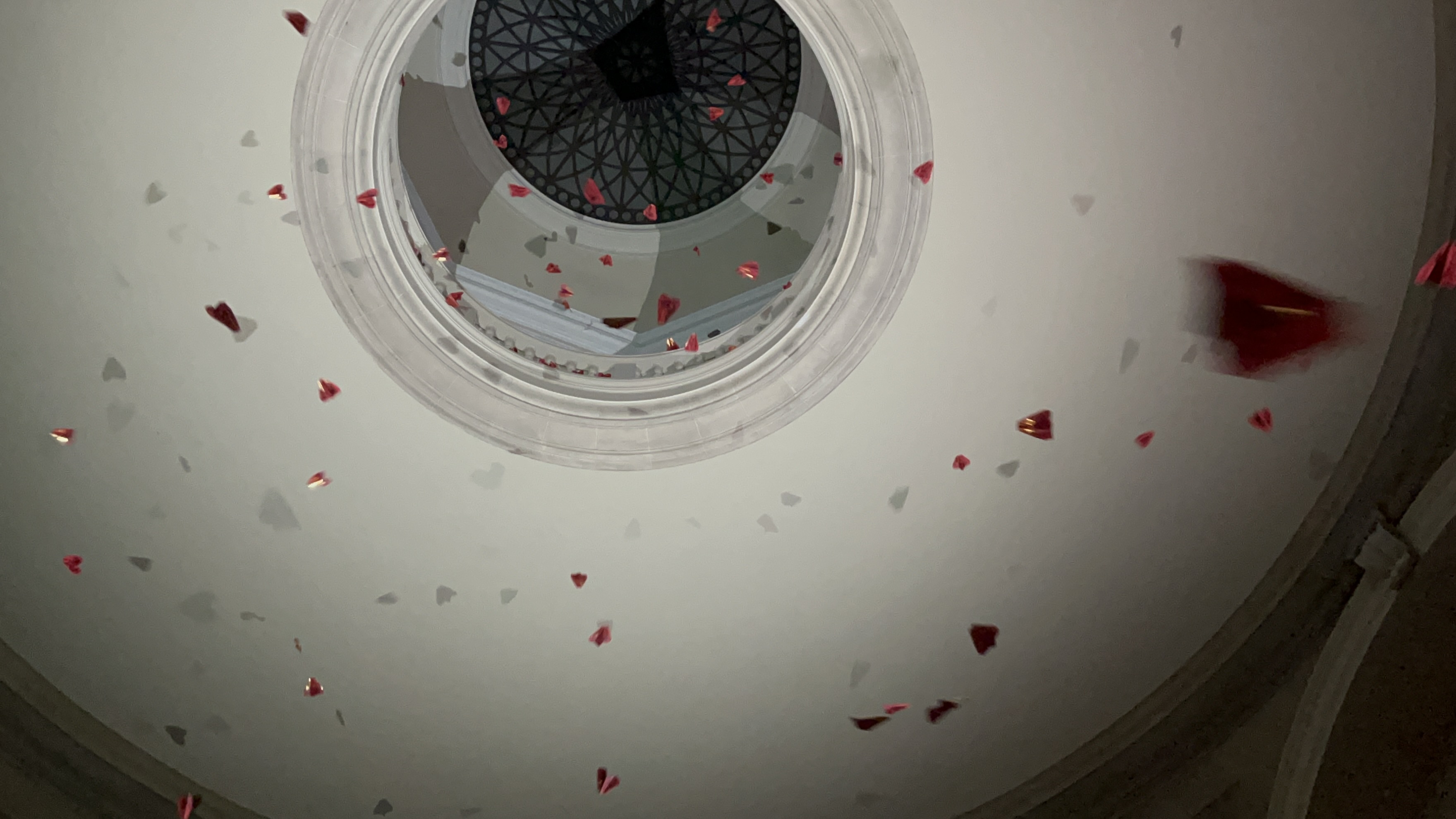 RADII shared its exclusive interview with fashion designer Alexander Wang and MSCHF on NYC's The Wang Contemporary celebrating Asian creativity.