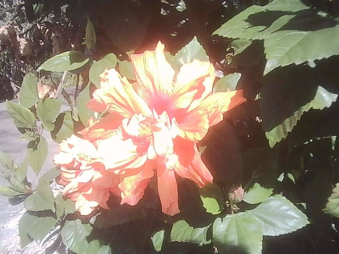 RADII celebrates Hong Kong creative third space CRITICAL MASS's multi-artist and rave event for its 1 year anniversary, looking at HK's emerging artists.