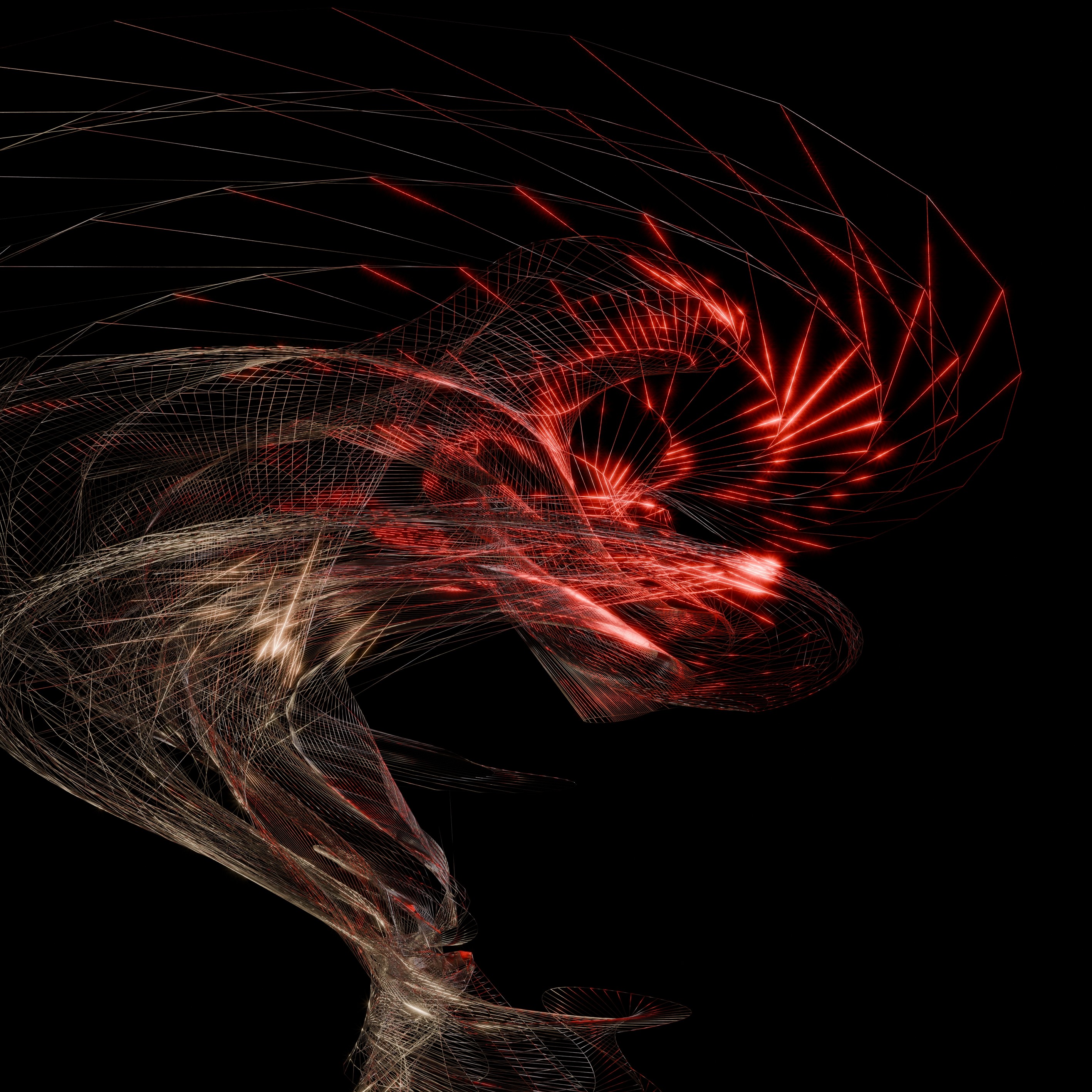 RADII celebrates Hong Kong creative third space CRITICAL MASS's multi-artist and rave event for its 1 year anniversary, looking at HK's emerging artists.