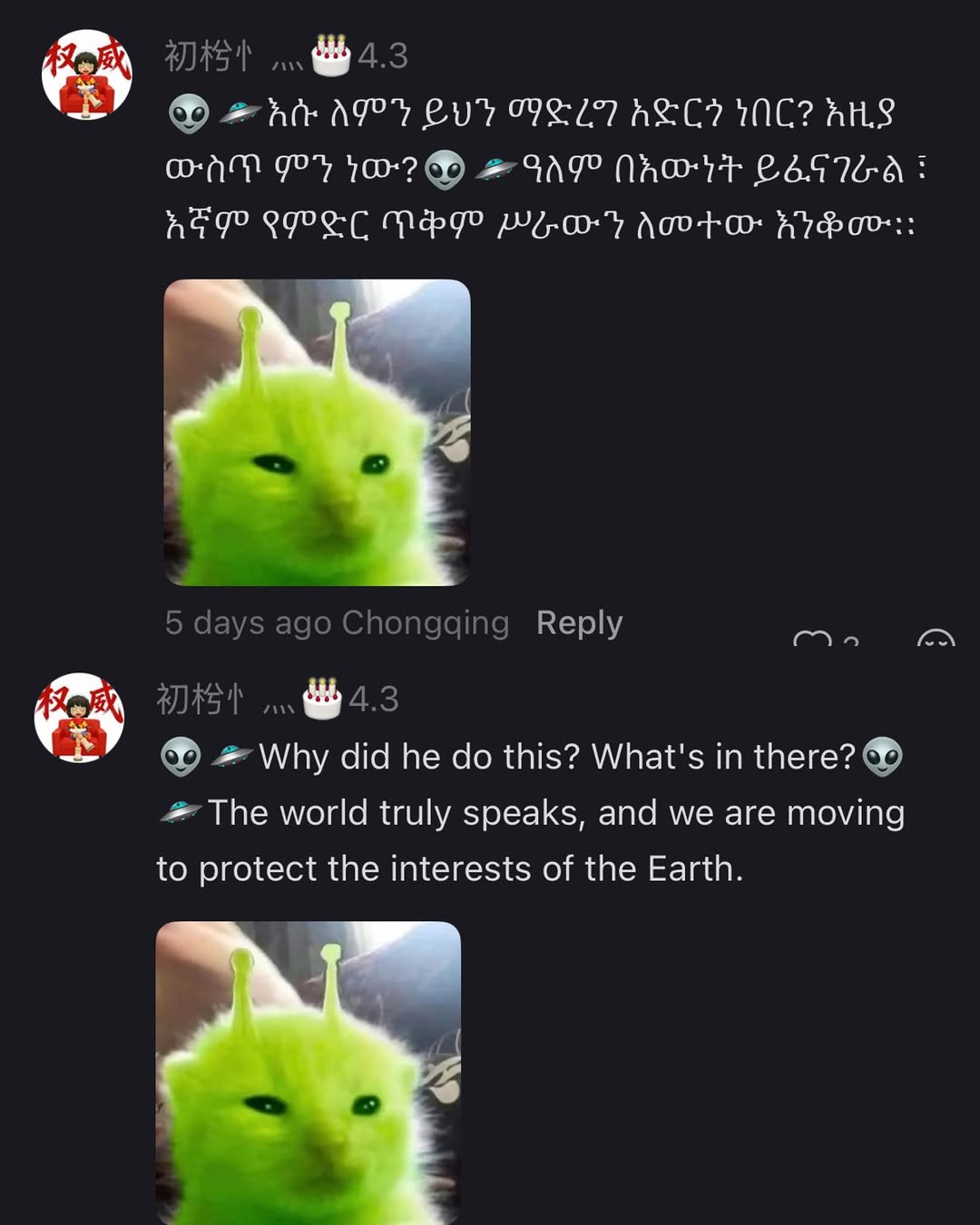 RADII talks about the online phenomenon meme of the little Chinese green alien cat that Gen Z are obsessed with.