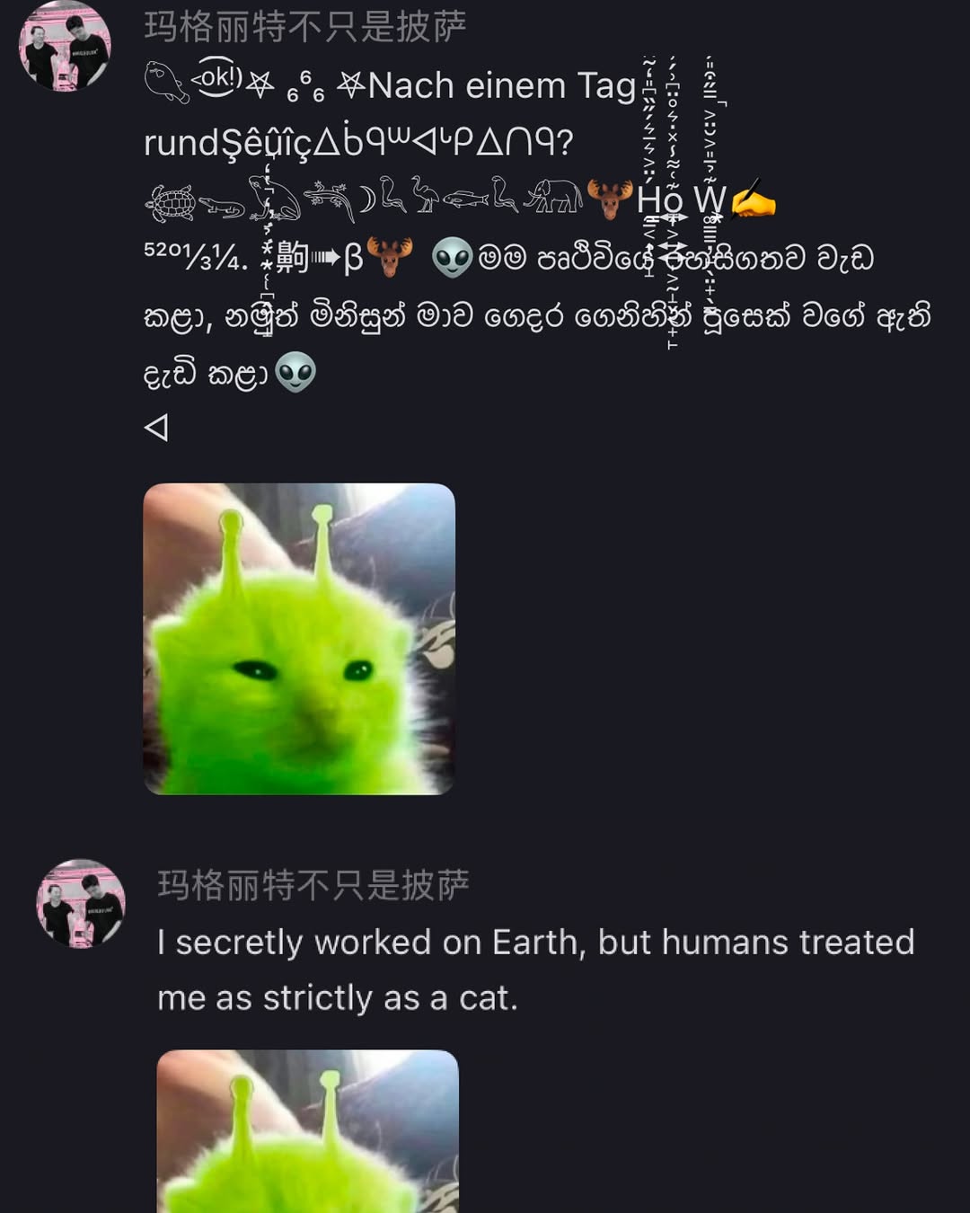 RADII talks about the online phenomenon meme of the little Chinese green alien cat that Gen Z are obsessed with.