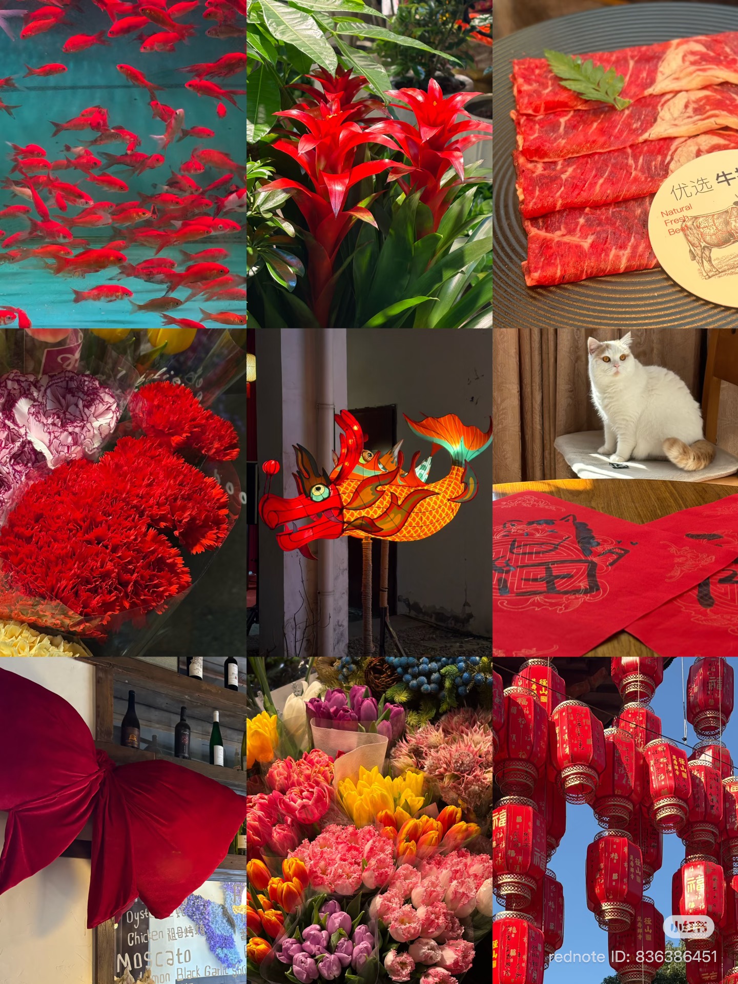 RADII talks about China Gen Z trend of "Color Walking" that's gone viral on Xiaohongshu.