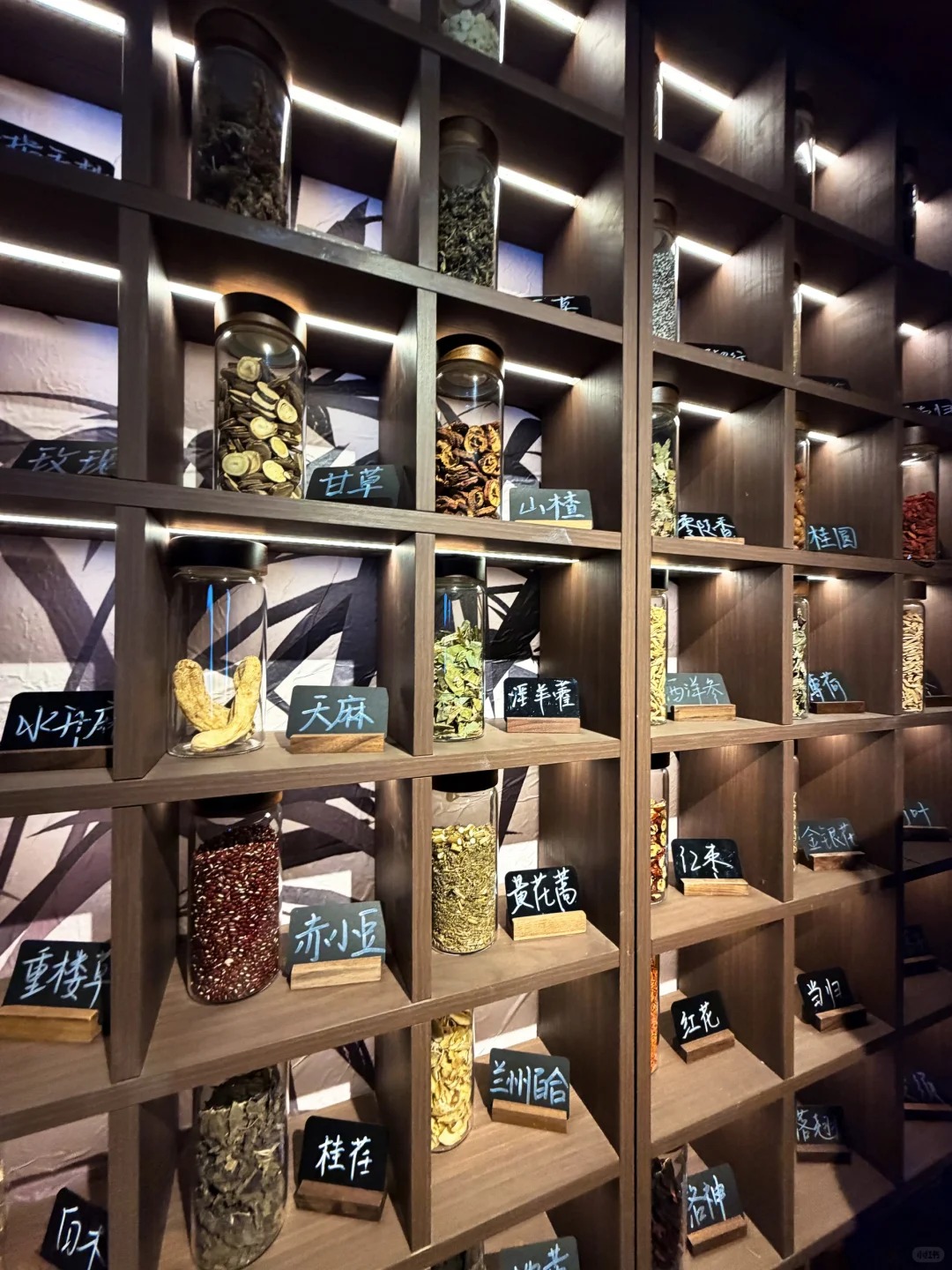 RADI talks about China Gen Z's punk wellness Barmacy trend where Traditional Chinese Medicine is introduced to the bar cocktail nightlife scene.