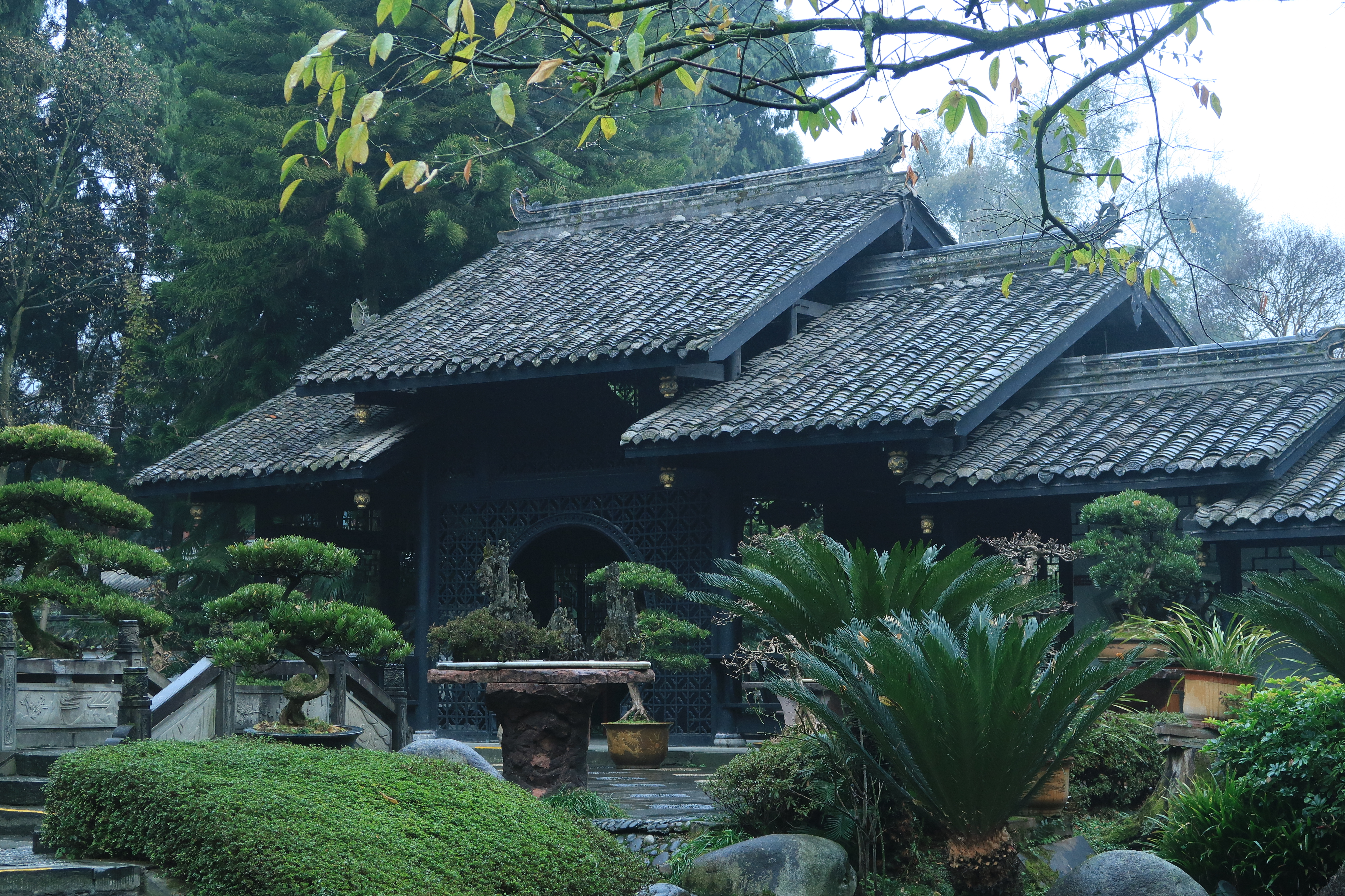 RADII talks about China's 5A tourist attraction sites losing significance as they face growing backlash.