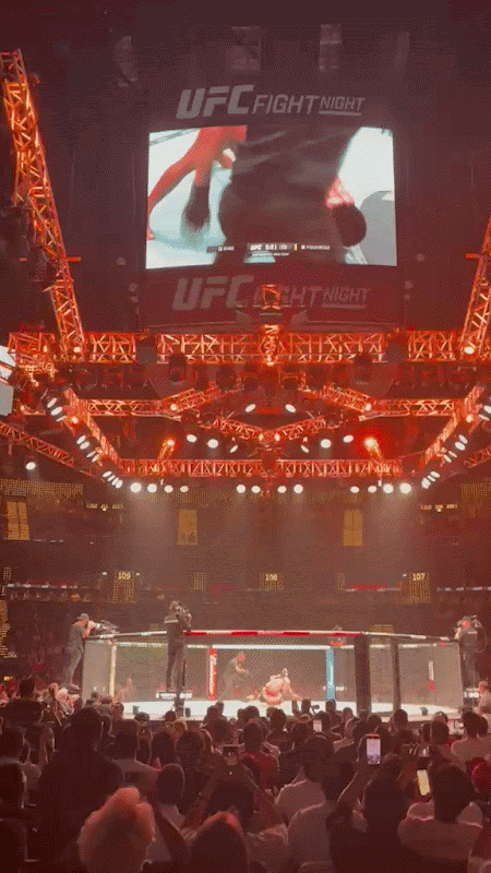 RADII highlights Chinese MMA fighter for Bantamweight Song Yadong who fought in Macau against Deiveson Figueiredo.