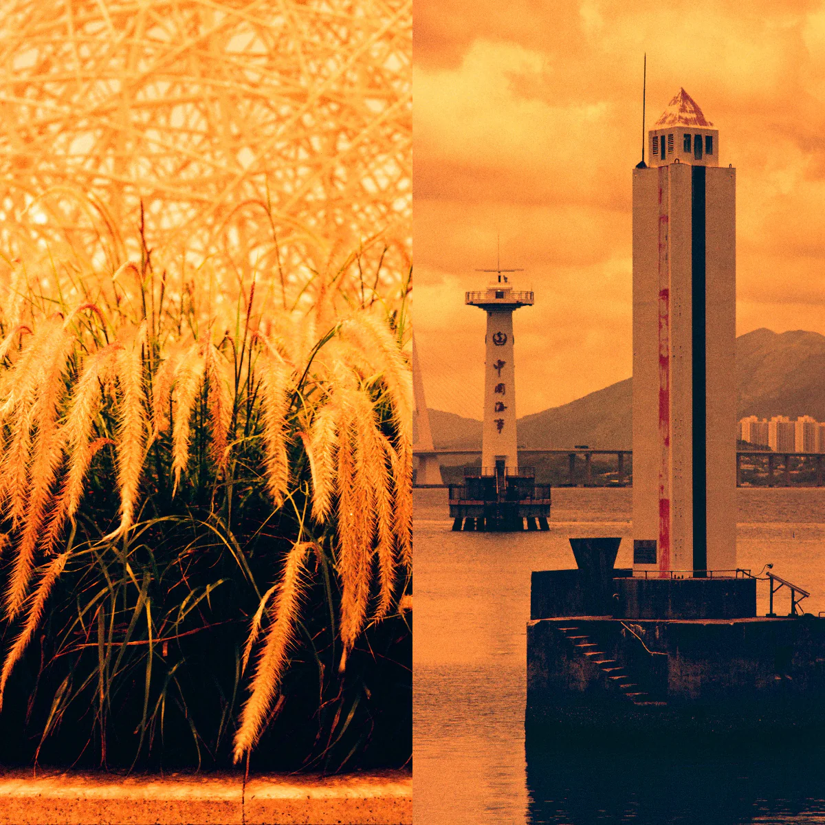 RADII talks about an experimental new film Diablo 100 by Chinese photography and camera accessories brand Reflex Lab that creates fiery red photos.