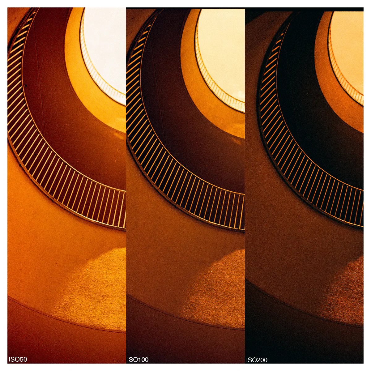 RADII talks about an experimental new film Diablo 100 by Chinese photography and camera accessories brand Reflex Lab that creates fiery red photos.