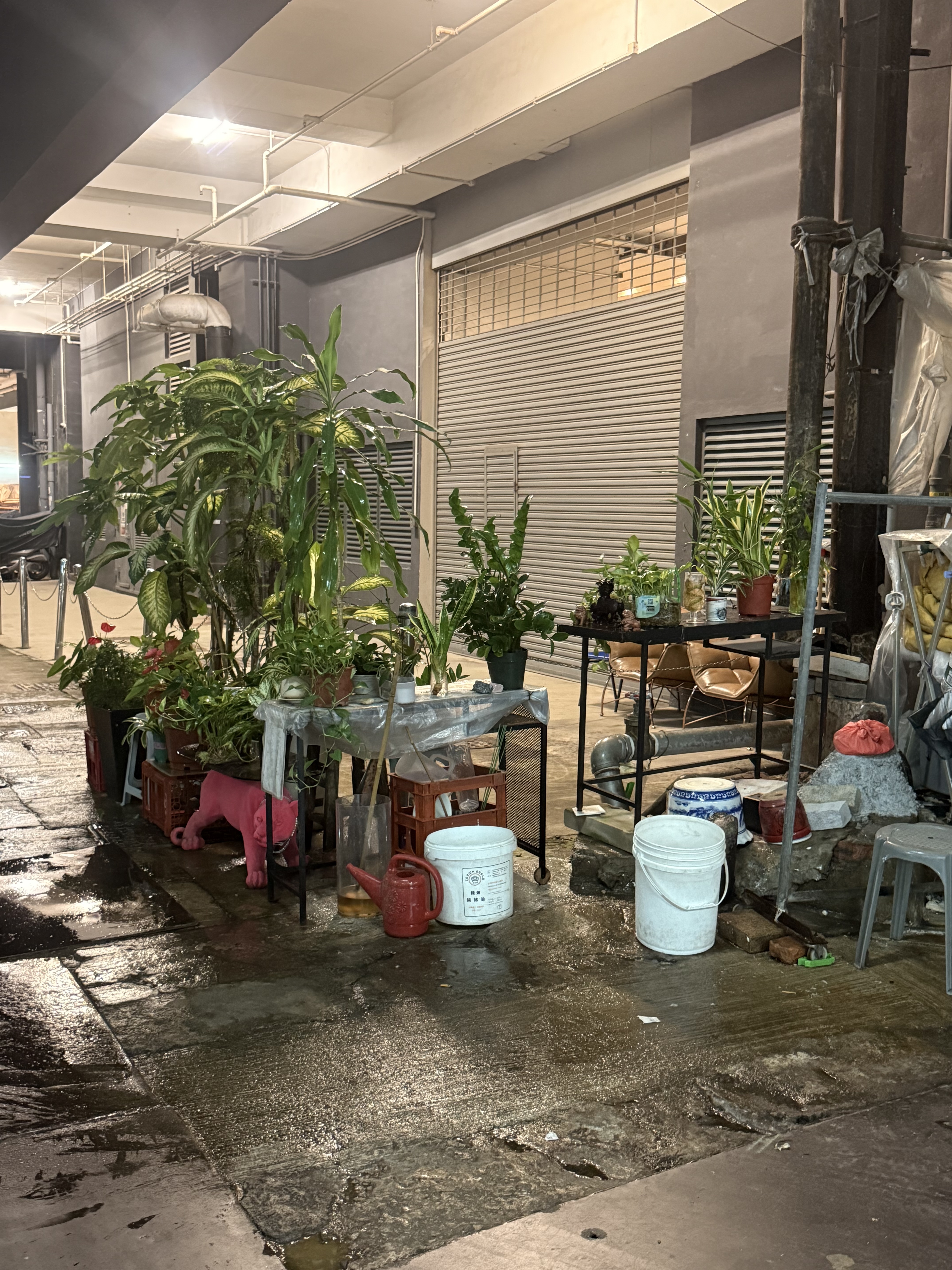 RADII exclusive interview with legendary artist Michael Lau, the godfather of designer toys, talks about his second collaboration with Carhartt WIP for his 'Flowers: Serendipity' collection.