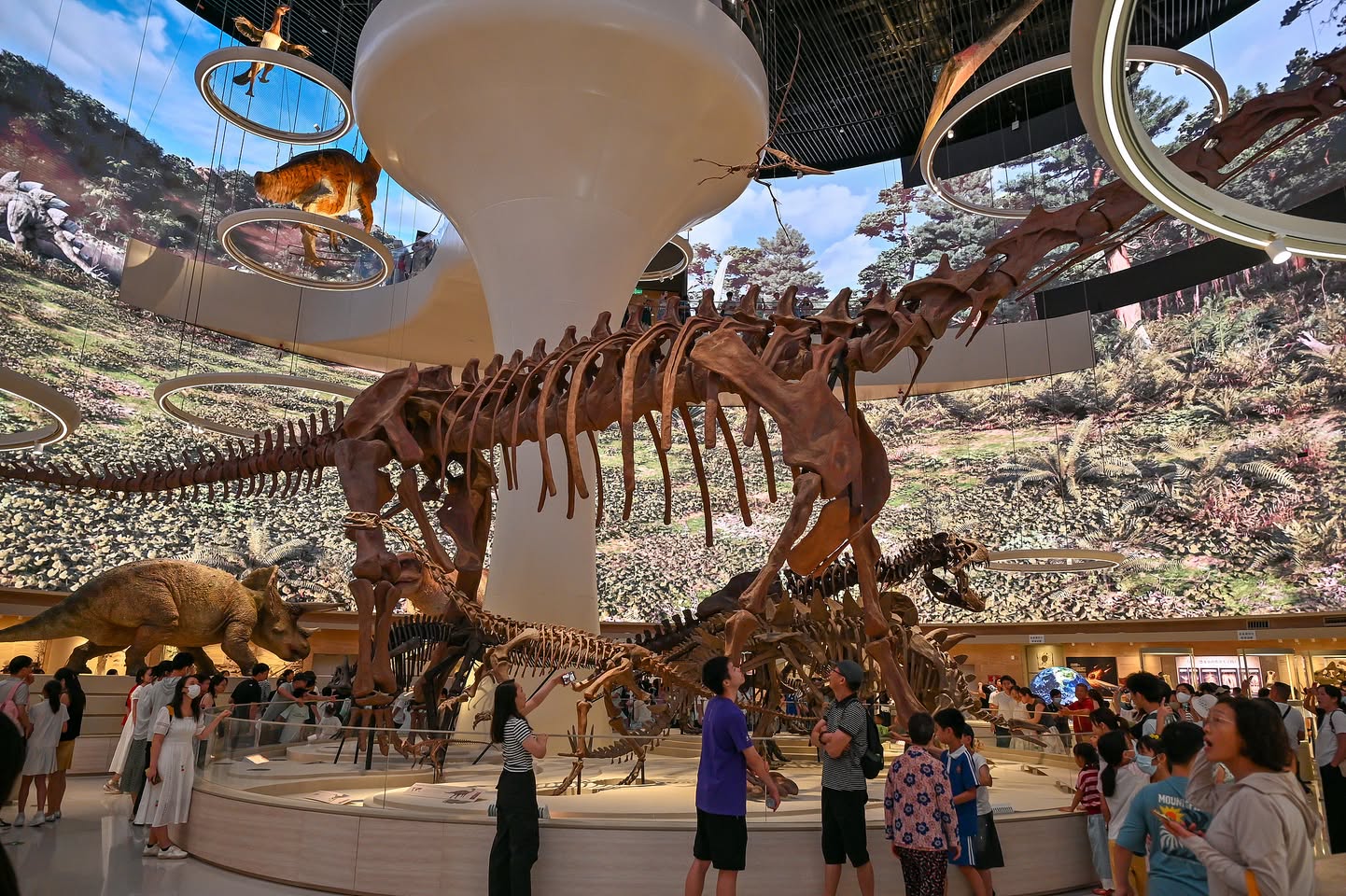 RADII spotlights the Shenzhen Natural History Museum opened July 28 with South China's most comprehensive museum offerings.