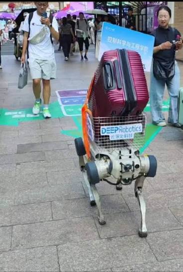 RADII talks about how Chinese Universities are now employing AI-powered robot dogs to welcome students to school.