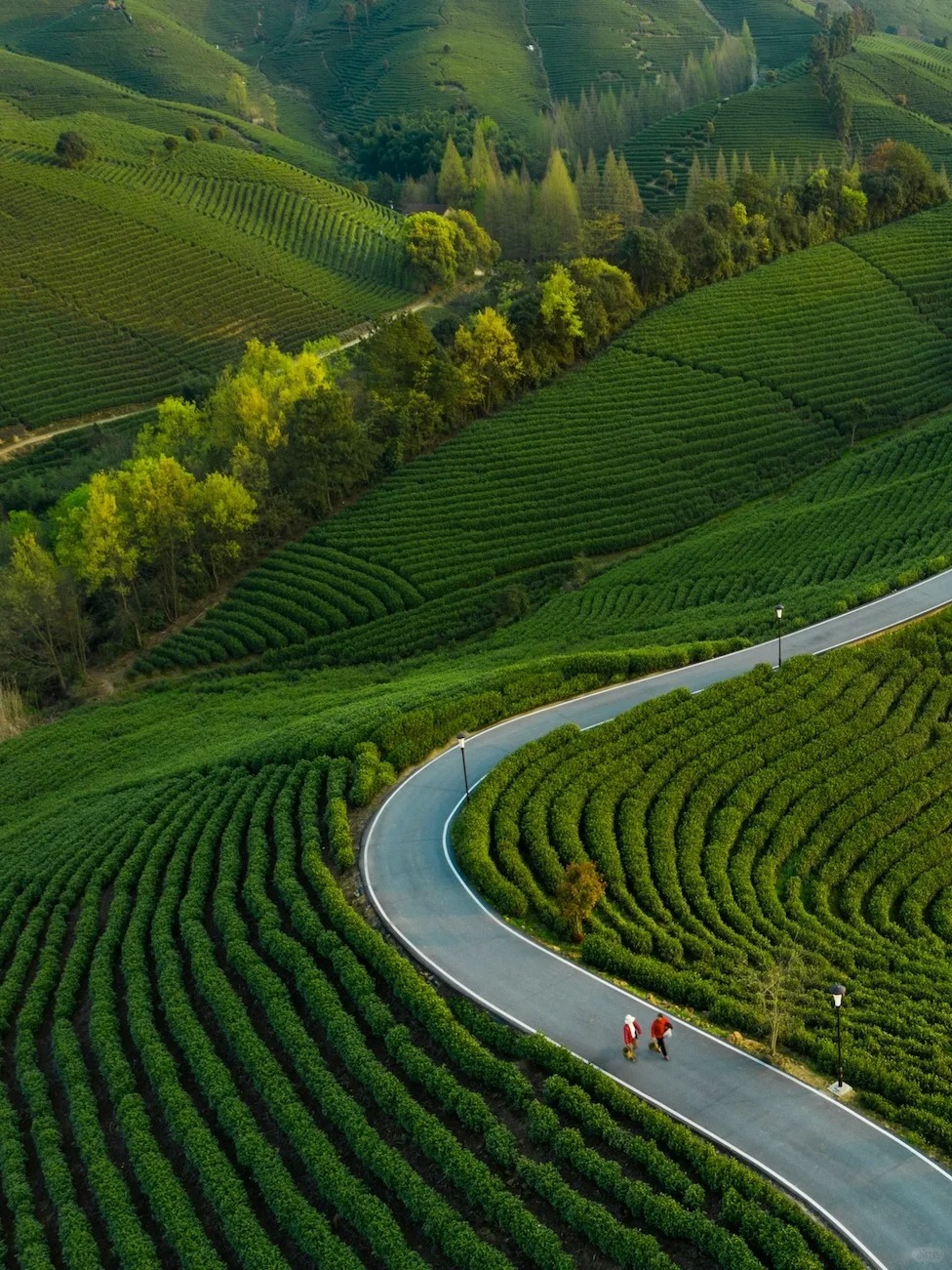 RADII highlights the slow-living travel trend among China's youth who are visiting county and second-tier cities.