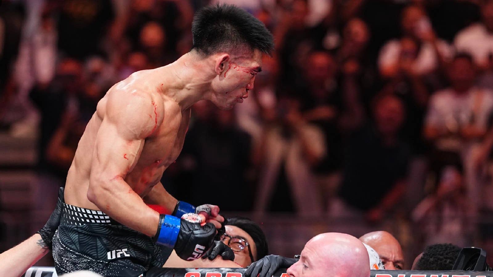 RADII highlights the UFC fight in Shanghai between Song Yadong and Umar Nurmagomedov.