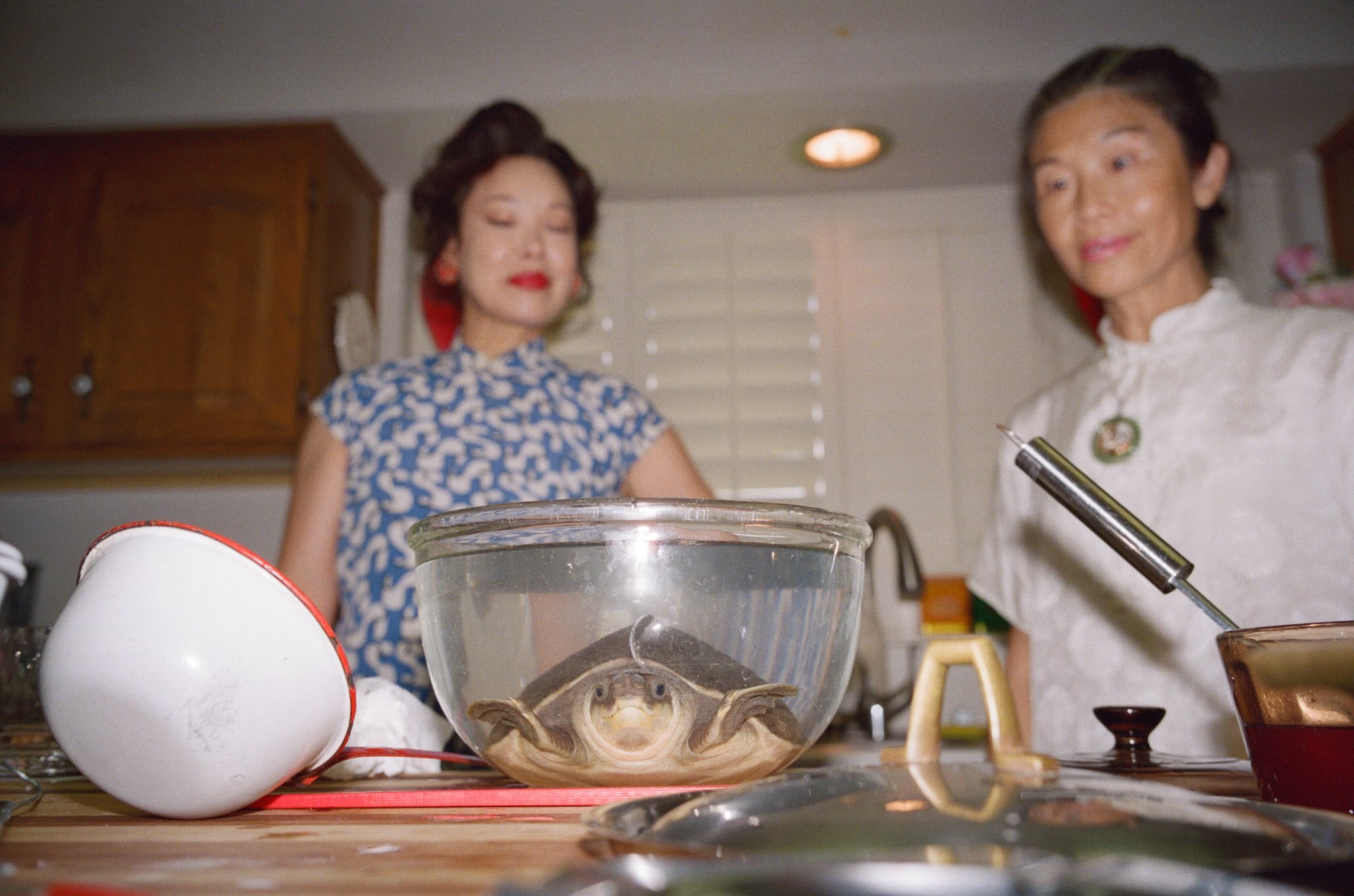 RADII spotlights actor/comedian Jimmy O. Yang's latest comedic skit, Pablo Escobar of Lizards, AKA Lizard Hunter, a short film on VICE.