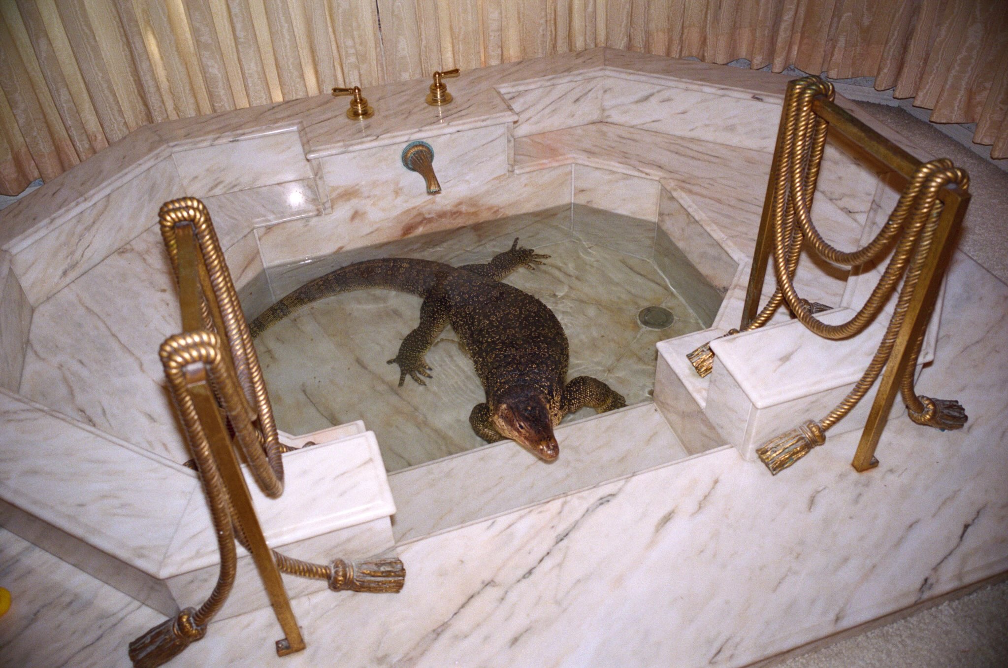 RADII spotlights actor/comedian Jimmy O. Yang's latest comedic skit, Pablo Escobar of Lizards, AKA Lizard Hunter, a short film on VICE.